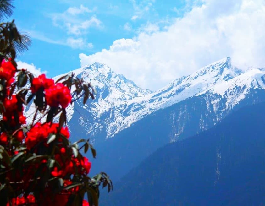 Things to Do in Nepal for the New Year